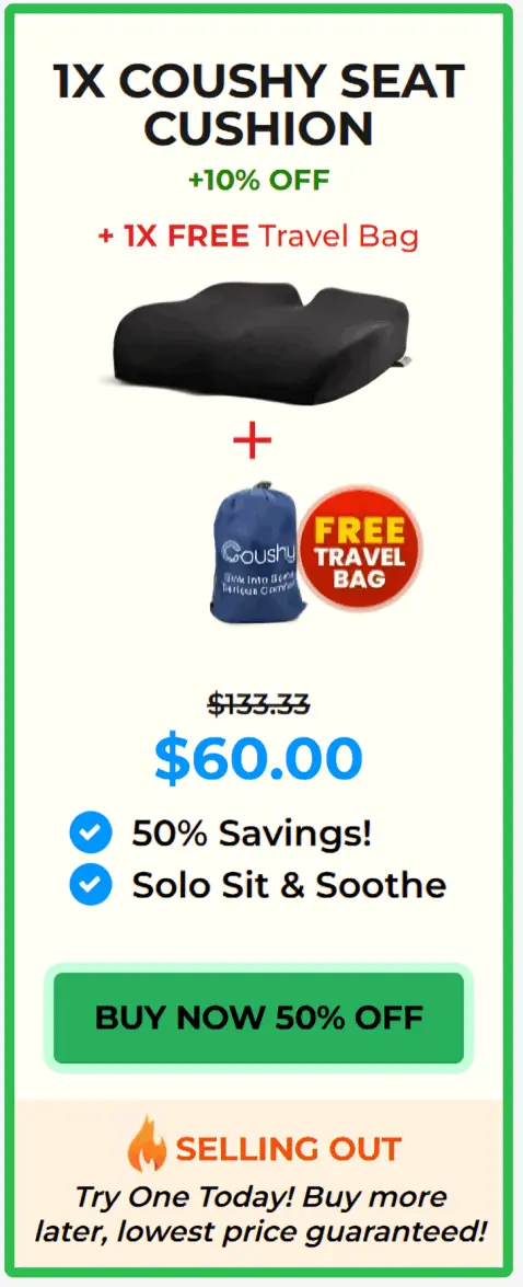 Coushy Seat Cushion price 