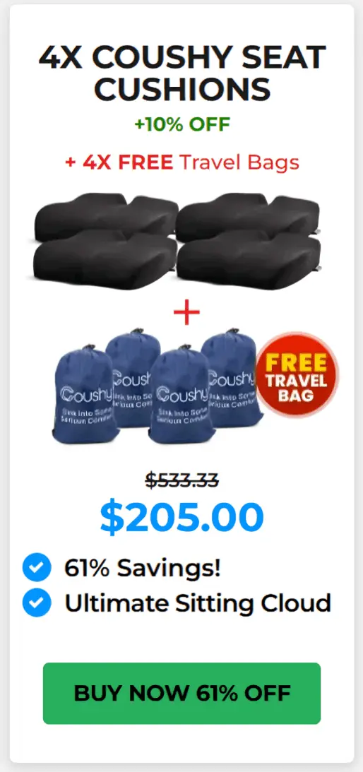 Coushy Seat Cushion offer price 