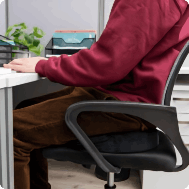 Coushy Seat Cushion